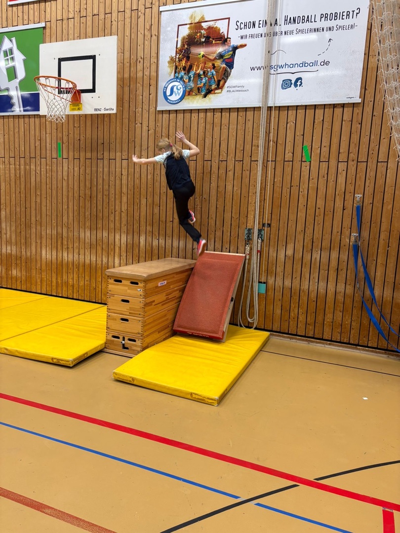 2025 11 26 Gorilla Parcours 3